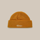 Script Logo Fisherman Beanie in Ginger