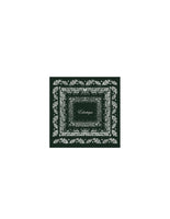 thumbnail for Green Silk Scarf in Mountain View Green