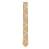 Ombre Plaid Neck Tie