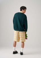 thumbnail for Ombre Plaid Shorts in Yellow